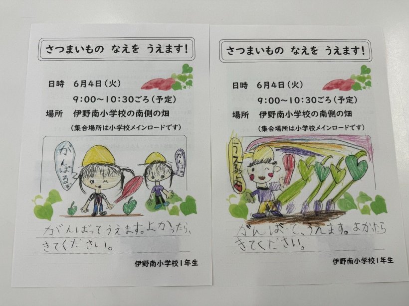 サツマイモ植えるチラシに絵がついている